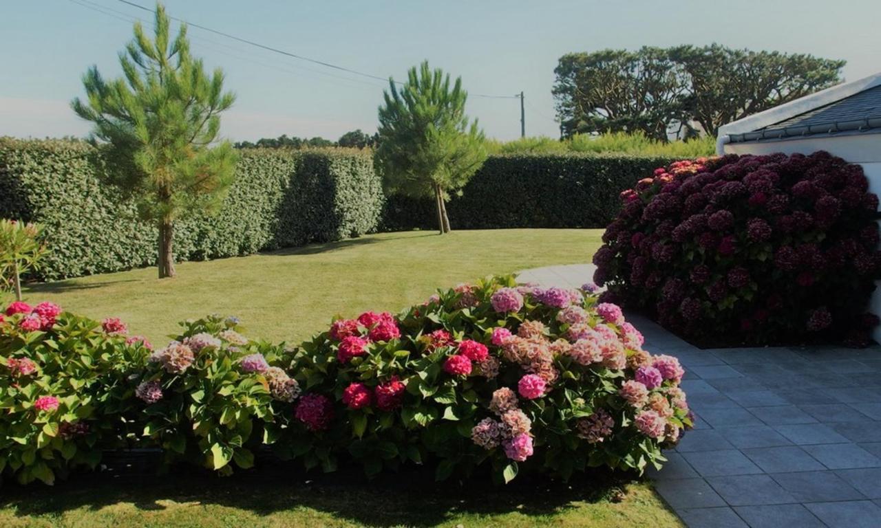 Maison Accueillante A Bangor Avec Jardin Clos Et Cheminee 외부 사진